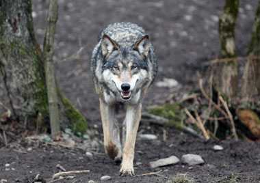 Schliessen von 023.jpg