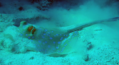 Schliessen von 028.JPG