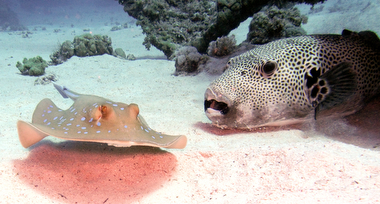 Schliessen von 031.JPG