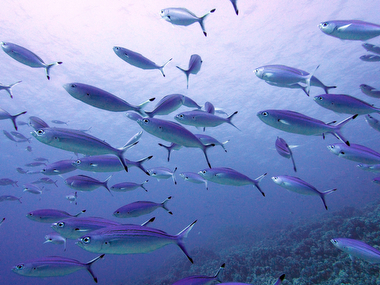 Schliessen von 034.JPG