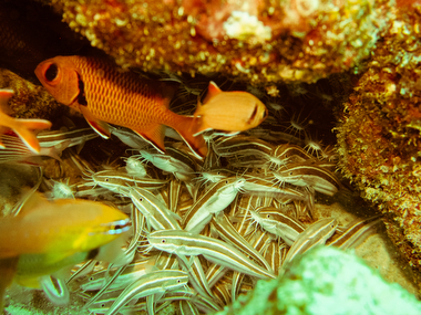 Schliessen von 039.JPG