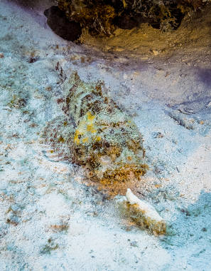 Schliessen von 052.JPG