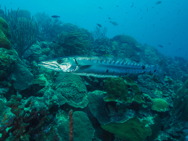 Schliessen von 055.JPG