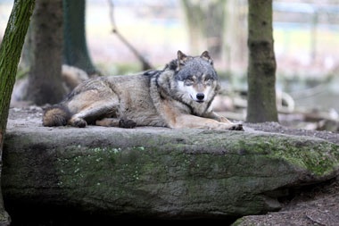 Klick f&uuml;r Originalgr&ouml;&szlig;e :024.jpg