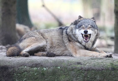 Klick f&uuml;r Originalgr&ouml;&szlig;e :025.jpg