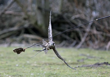 Klick f&uuml;r Originalgr&ouml;&szlig;e :026.jpg