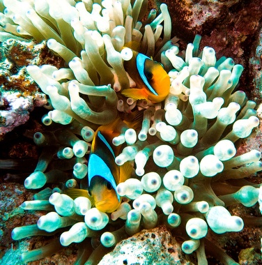 Klick f&uuml;r Originalgr&ouml;&szlig;e :035.JPG