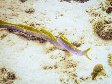 Klick f&uuml;r Originalgr&ouml;&szlig;e :041.JPG