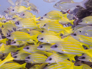 Klick f&uuml;r Originalgr&ouml;&szlig;e :045.JPG