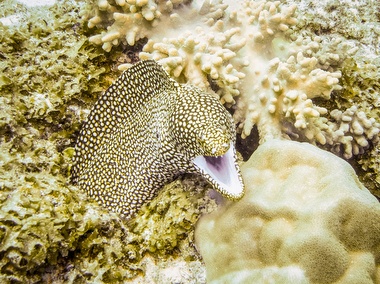 Klick f&uuml;r Originalgr&ouml;&szlig;e :046.JPG