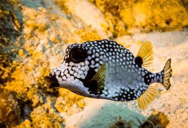 Klick f&uuml;r Originalgr&ouml;&szlig;e :050.JPG