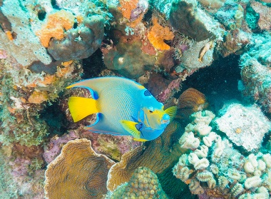 Klick f&uuml;r Originalgr&ouml;&szlig;e :051.JPG