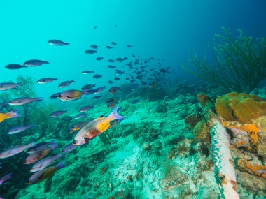 Klick f&uuml;r Originalgr&ouml;&szlig;e :056.JPG