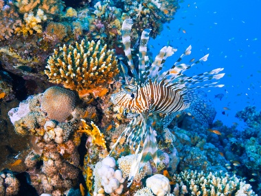 Klick f&uuml;r Originalgr&ouml;&szlig;e :057.JPG