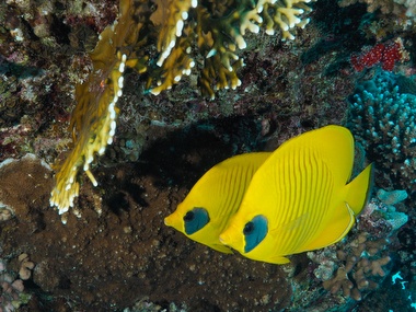 Klick f&uuml;r Originalgr&ouml;&szlig;e :058.JPG