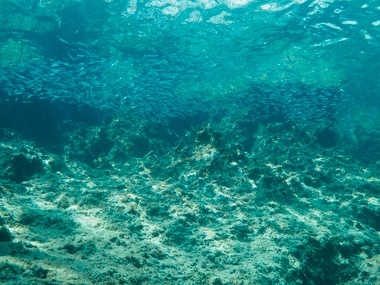 Klick f&uuml;r Originalgr&ouml;&szlig;e :065.JPG