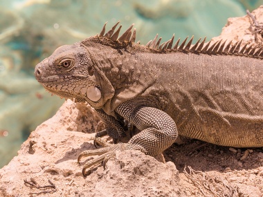 Klick f&uuml;r Originalgr&ouml;&szlig;e :066.JPG